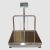 πλάστιγγα digi ds 166ss syfas